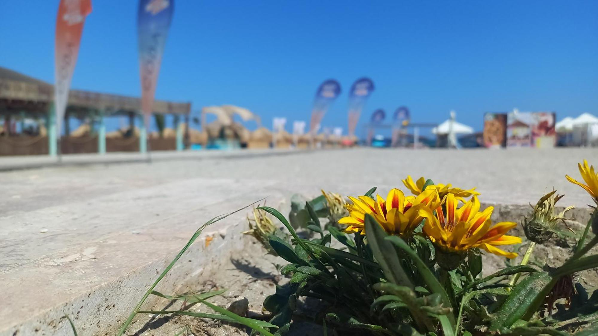 Luxury Promenada Apartment - Frontal Beachfront Mamaia Nord Năvodari Kültér fotó
