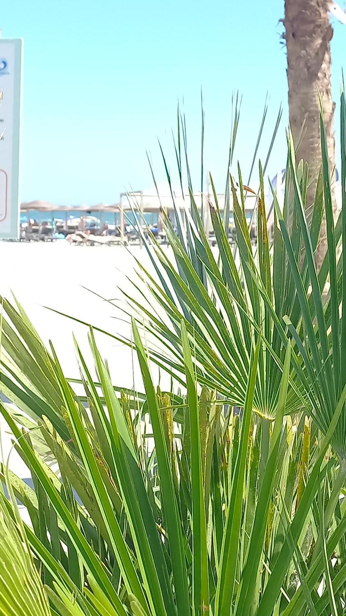 Luxury Promenada Apartment - Frontal Beachfront Mamaia Nord Năvodari Kültér fotó
